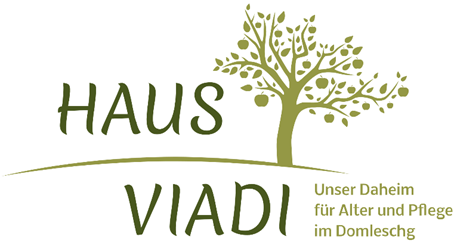 Haus Viadi, Fürstenaubruck